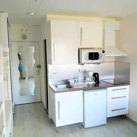 Le Petit Montagnard Apartment Le Devoluy